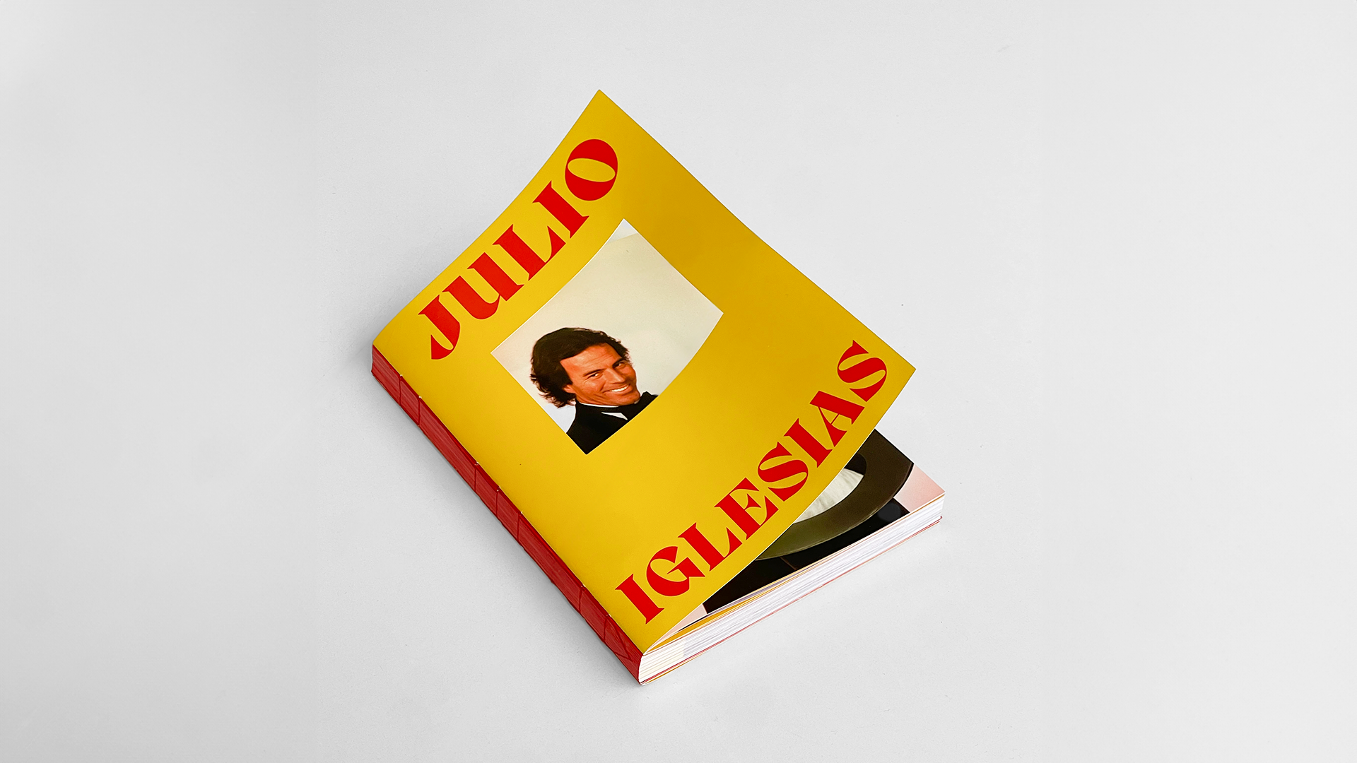 Julio Iglesias Biography Book cover image